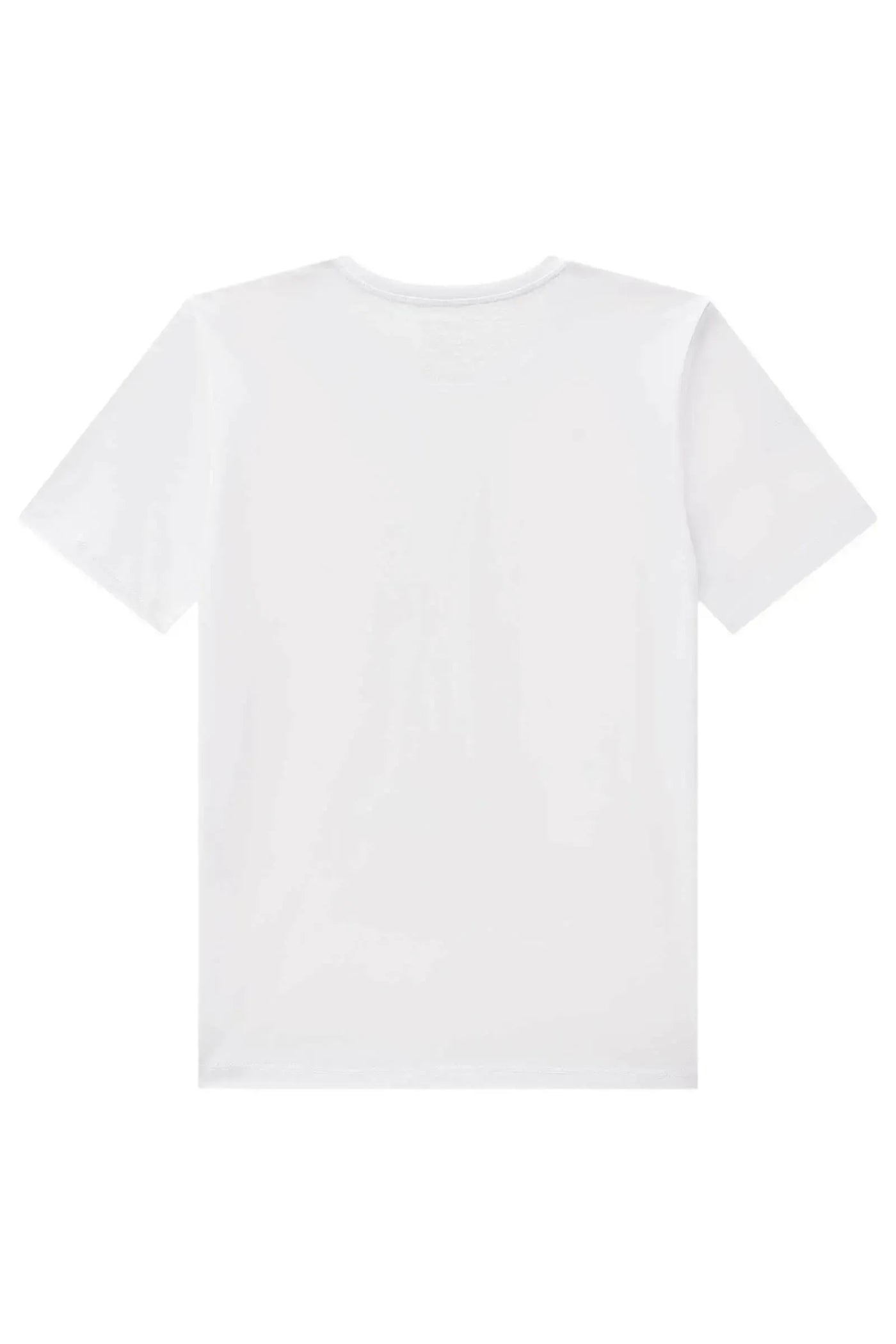 Camiseta em Meia Malha 86320 Johnny Fox Teen Menino