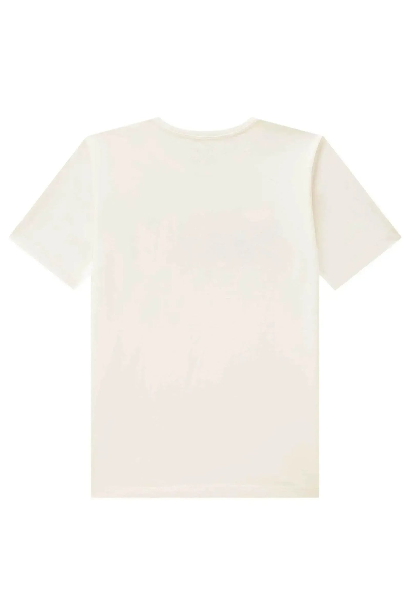Camiseta em Meia Malha 86323 Johnny Fox Teen Menino